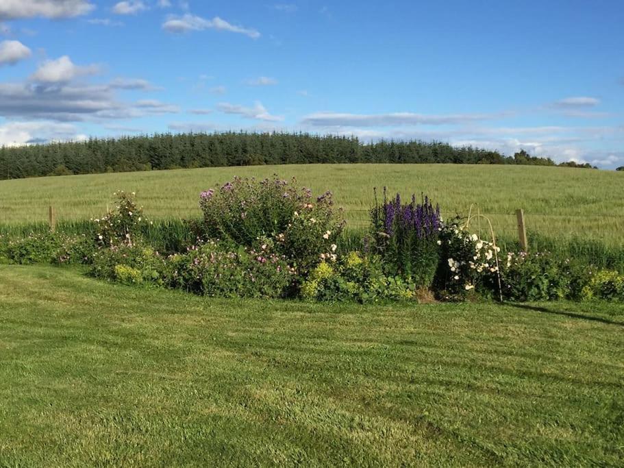 Blackhill Farm Cottage Perth Luaran gambar